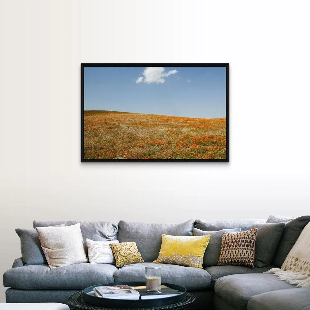 "California, Antelope Valley, California Poppy Reserve" Black Float Frame Canvas Art