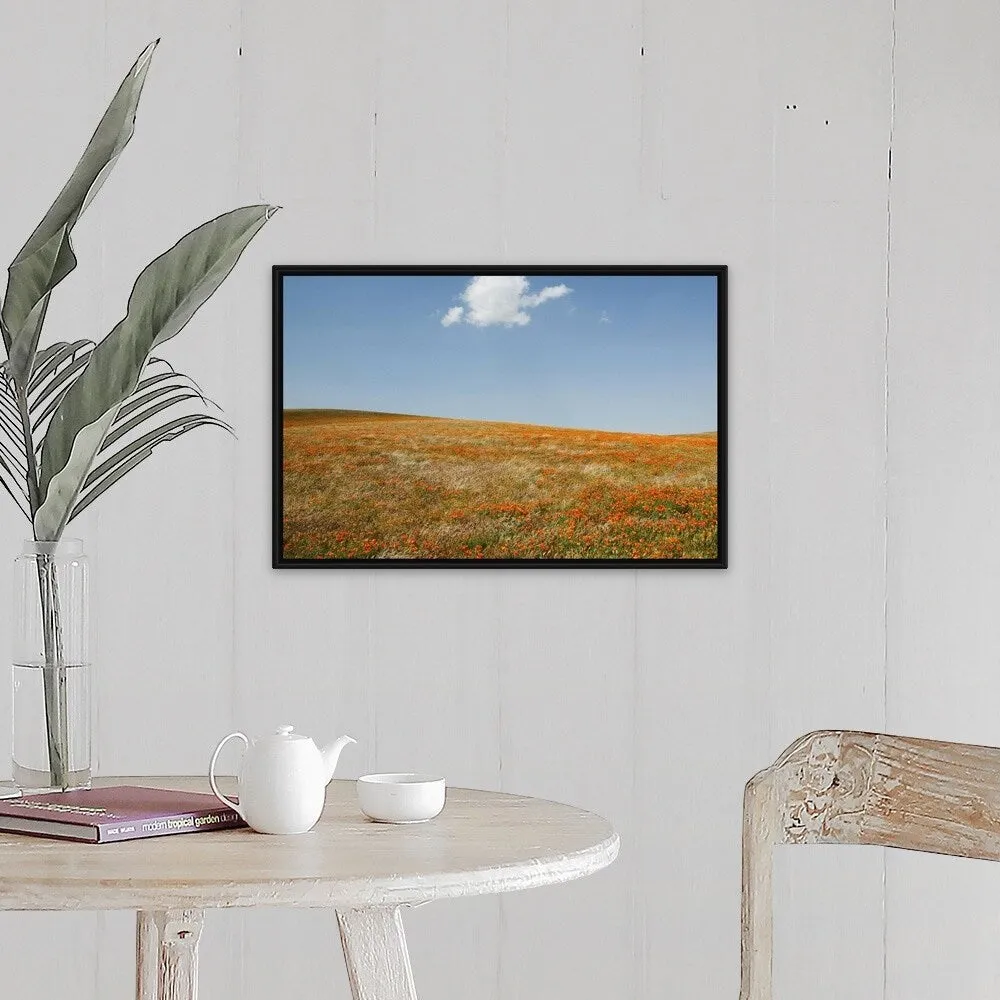 "California, Antelope Valley, California Poppy Reserve" Black Float Frame Canvas Art