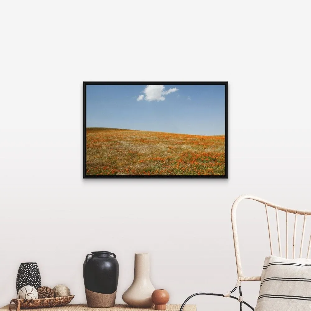 "California, Antelope Valley, California Poppy Reserve" Black Float Frame Canvas Art