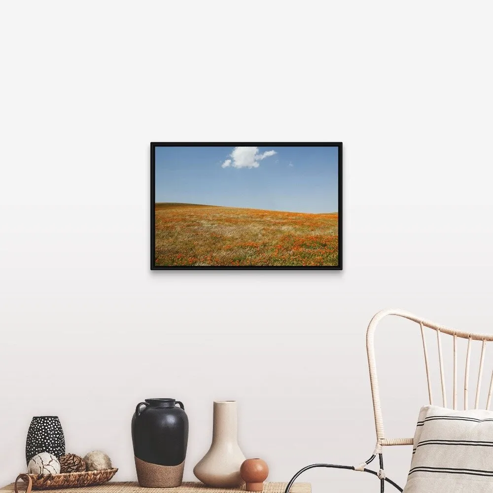 "California, Antelope Valley, California Poppy Reserve" Black Float Frame Canvas Art