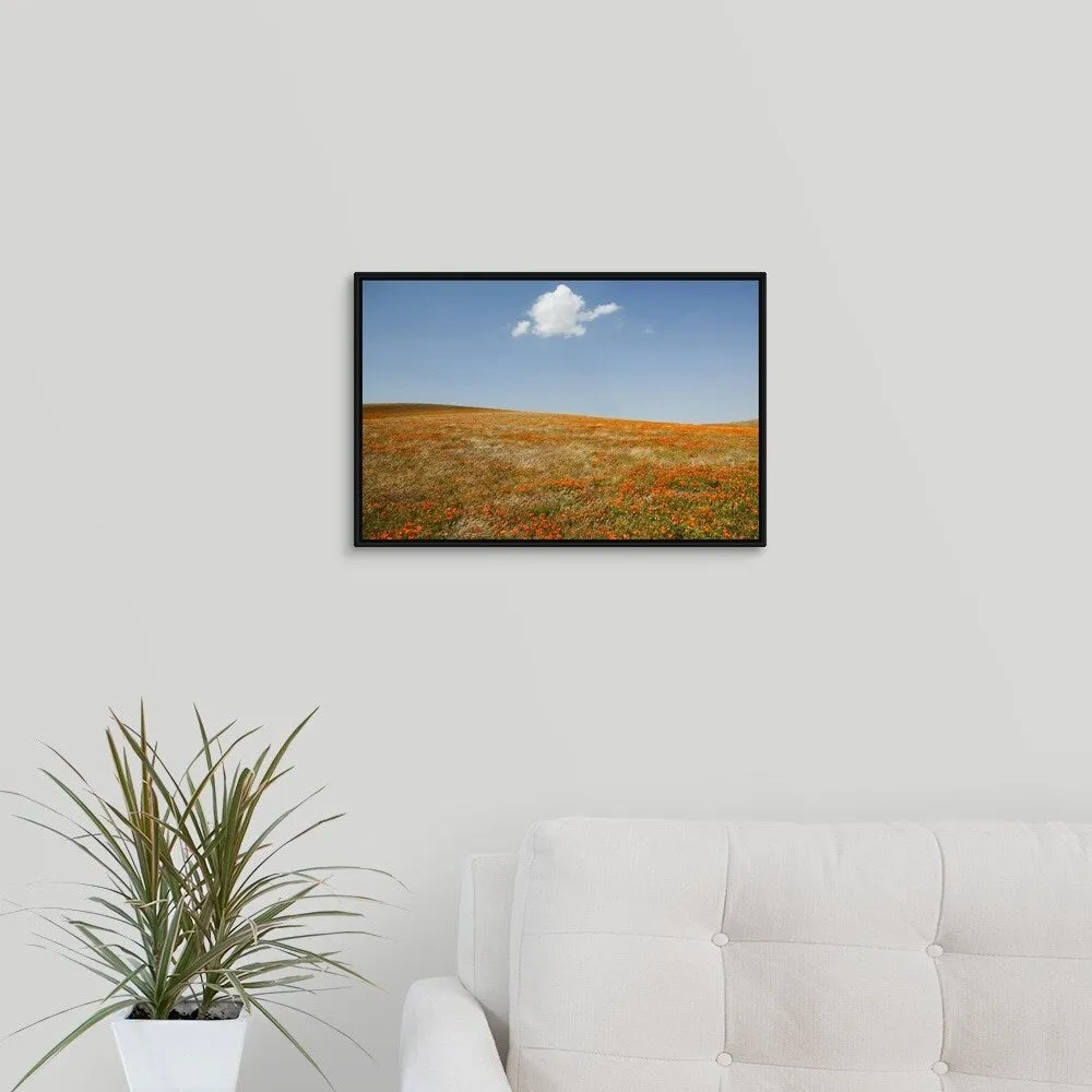 "California, Antelope Valley, California Poppy Reserve" Black Float Frame Canvas Art