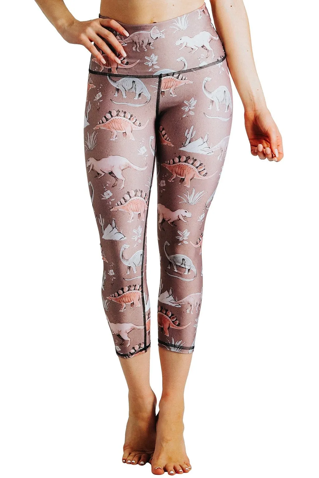 Stokasaurus Printed Yoga Crops